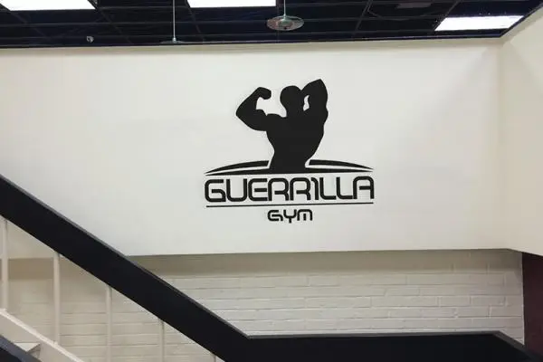 Guerrilla Gym